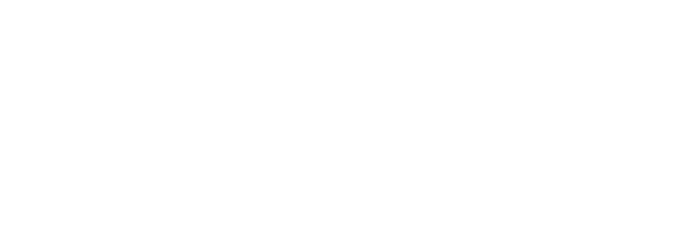 Bachmann_logo_white