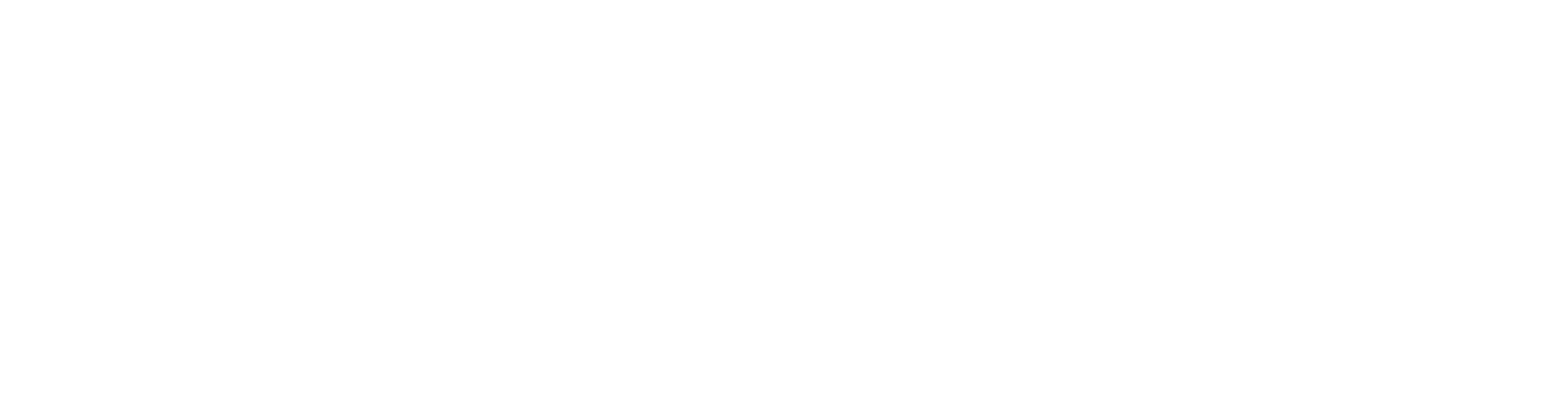 IDG_Logo_white