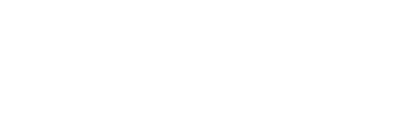 Licon_logo_white