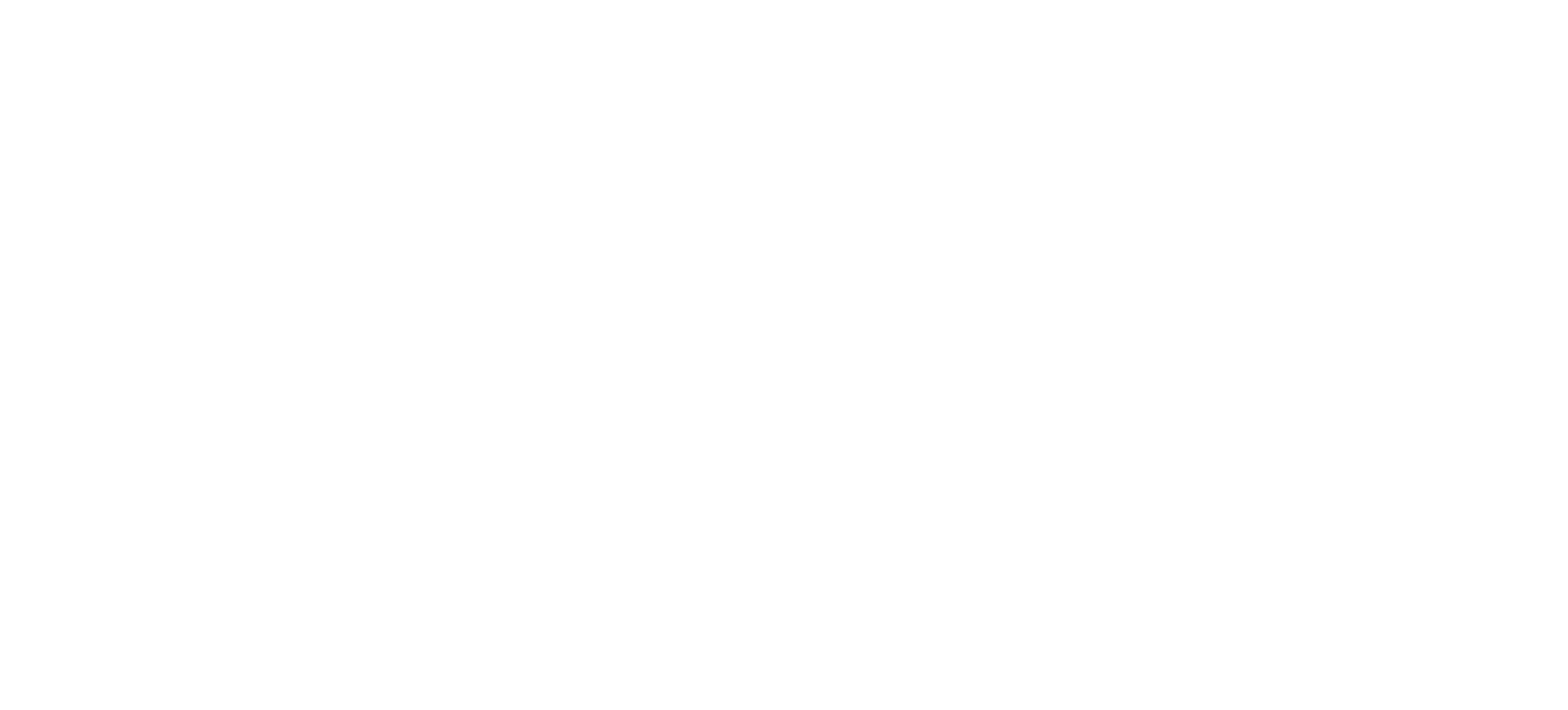 Meierguss_logo_white