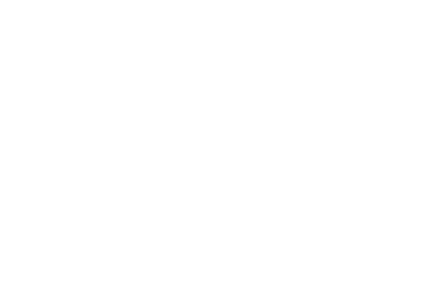 NBB_logo_white