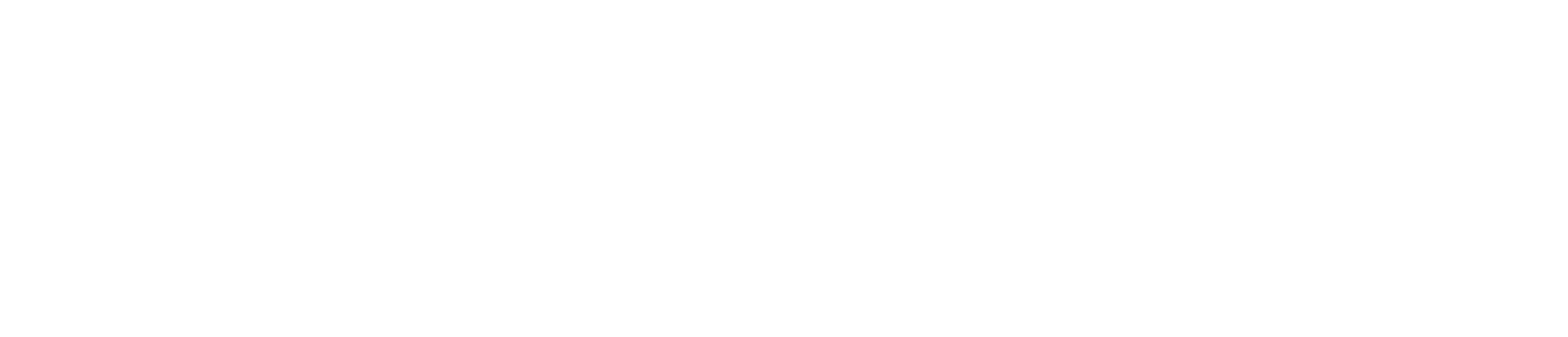 Rommelag_logo_white