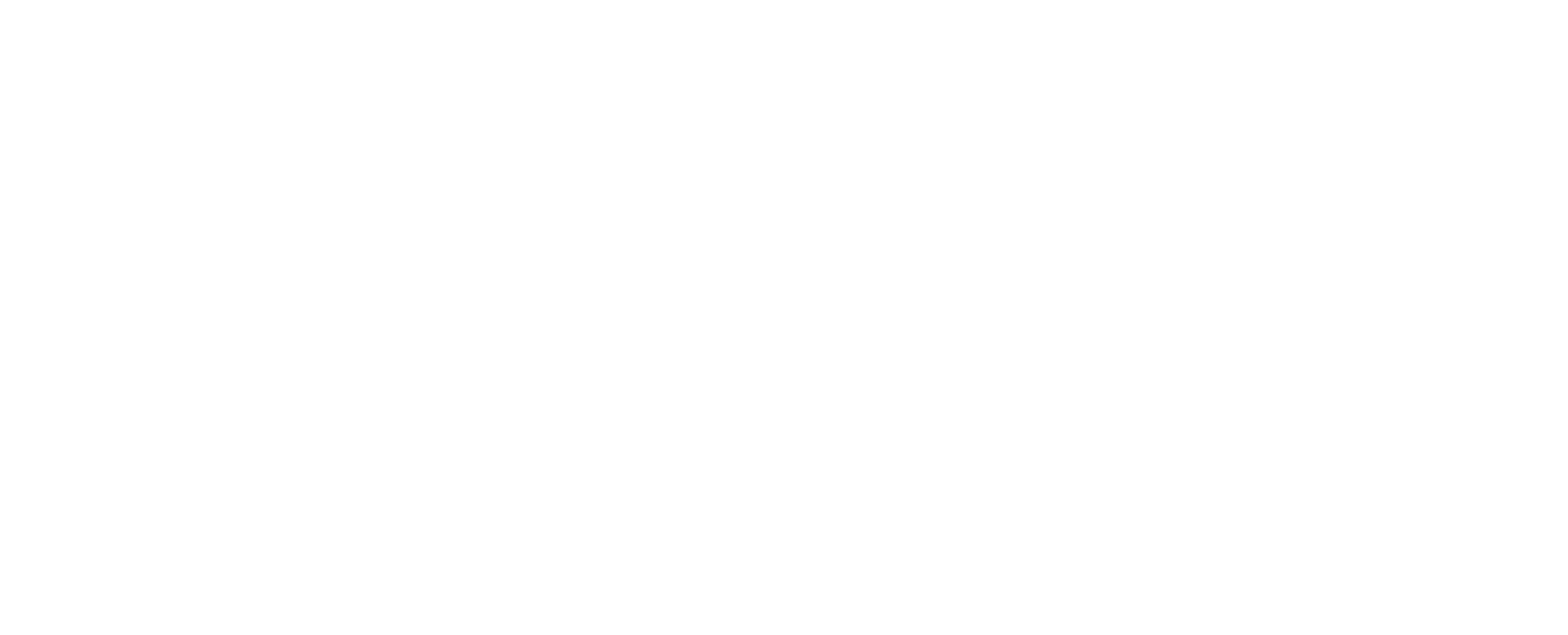 Schwer_Fittings_logo_white
